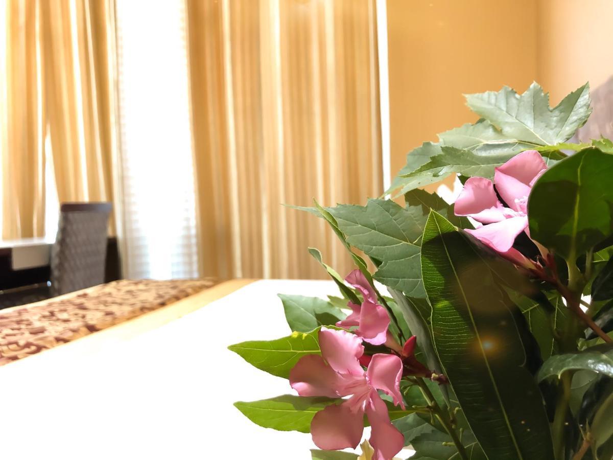 Hotel Arifi Szkodra Zewnętrze zdjęcie